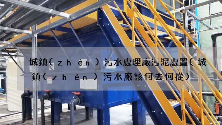 城鎮(zhèn)污水處理廠污泥處置(城鎮(zhèn)污水廠該何去何從)
